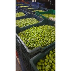 Ham Yeşil Zeytin 5 kg