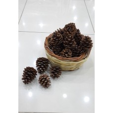 50 ADET DOĞAL KOZALAK