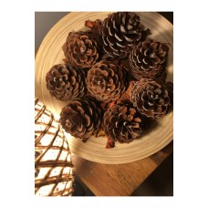 8 Adet Doğal Çam Kozalağı Dekoratif Kozalak Süs Kozalağı