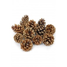 50 Adet Doğal Kozalak